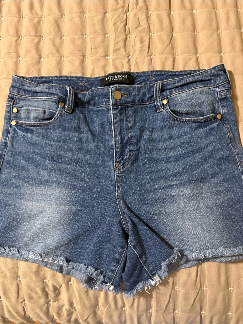 Liverpool Blue Denim Frayed Hem Women's Shorts—14